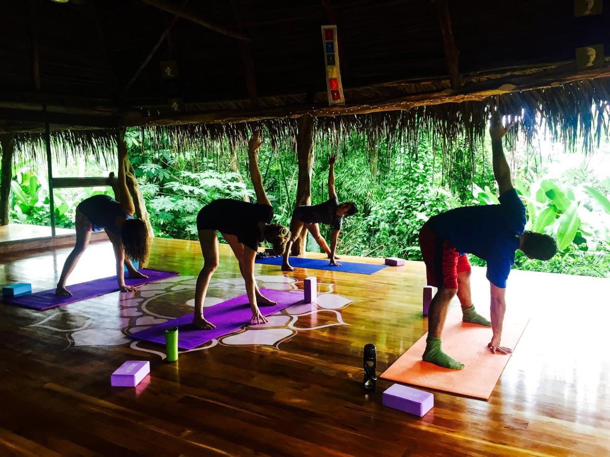 Jungle Lodge At Wild Sun Rescue Center Cabuya  Kültér fotó