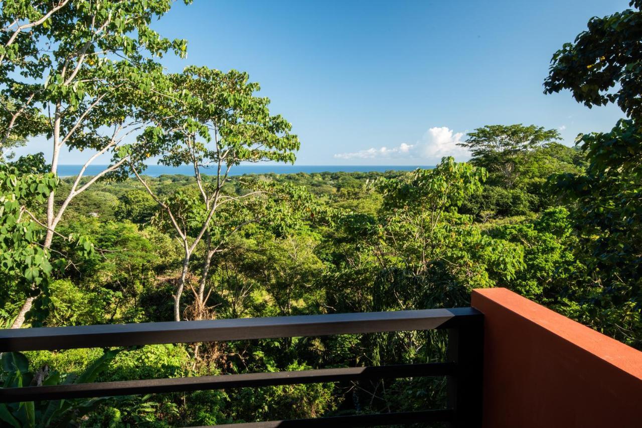 Jungle Lodge At Wild Sun Rescue Center Cabuya  Kültér fotó