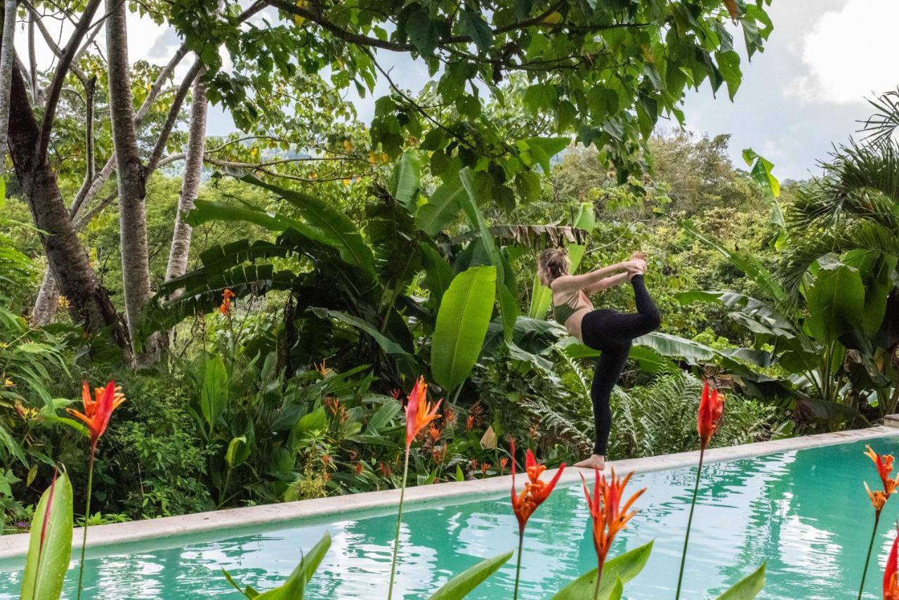 Jungle Lodge At Wild Sun Rescue Center Cabuya  Kültér fotó