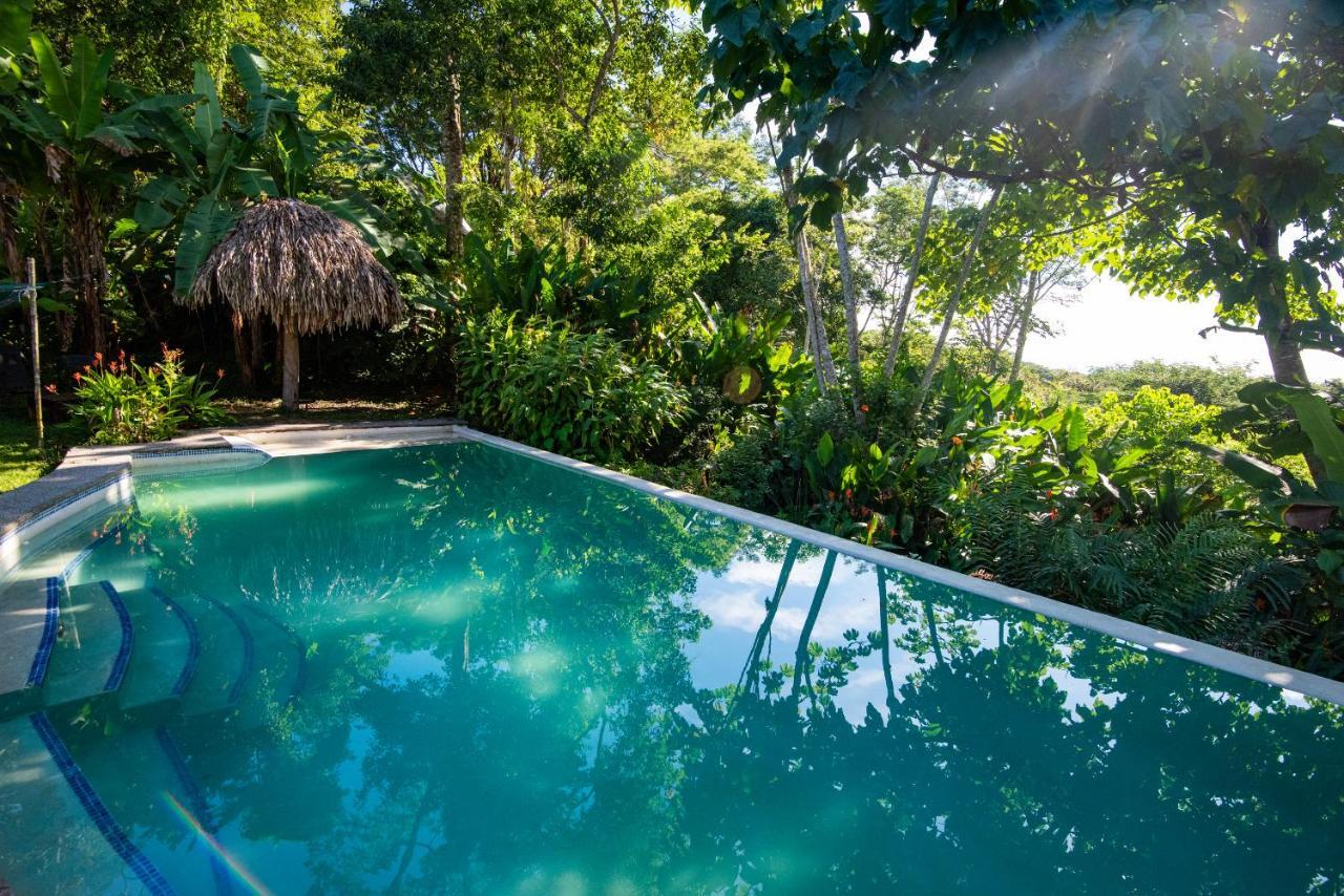 Jungle Lodge At Wild Sun Rescue Center Cabuya  Kültér fotó